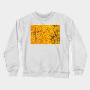 Gold Aspen Coins Crewneck Sweatshirt